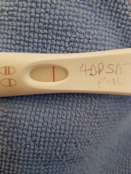 August IVF