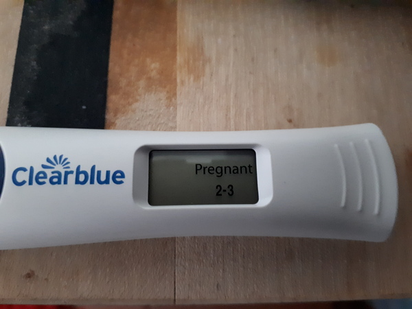 June 2019 - The Early Birds