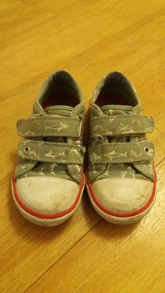 Shoes destroyed (pictures included)