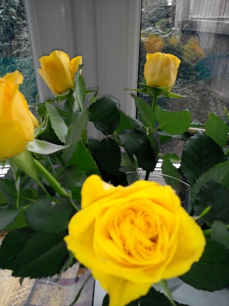 Random acts of kindness from strangers?