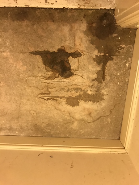 Tips for cleaning this floor?