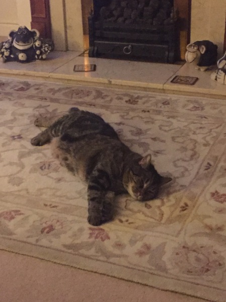 Frugalleers Spending September Safeguarding our Shiny Shillings