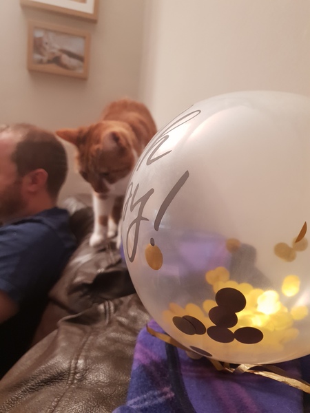 What's your DCat up to today? (Thread 7!)