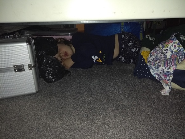 Look what DS did last night.