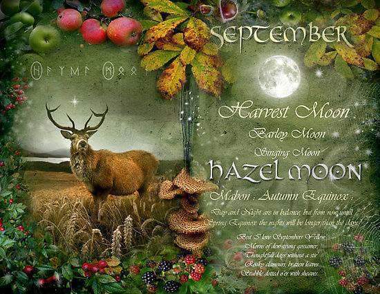 Any Witches Here ? Part 2