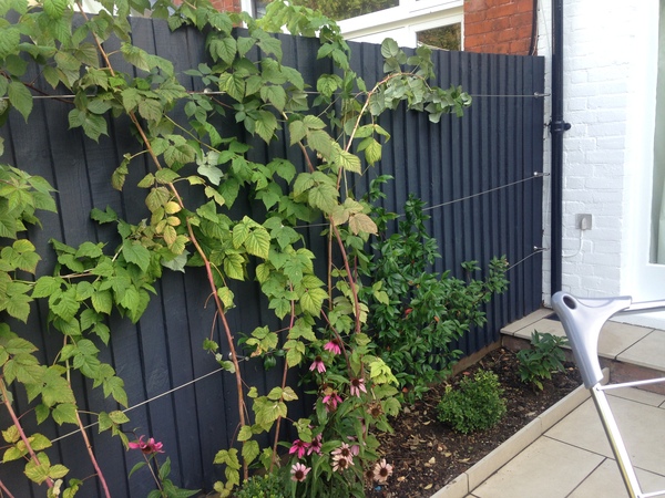 Dark or light grey fence in garden?