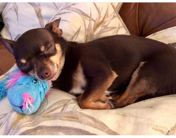 We're not that old but we're losing our hair... Do you still need us, now we're sixty four?! - CANCER SUPPORT THREAD 64