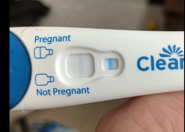 May 2019 (or late April 2019) due date