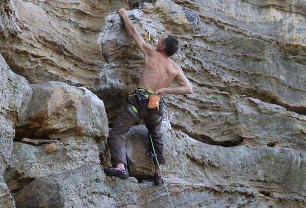 Les Parisiennes de Mamansnet: Orangutans in Paris make for poor gondoliers