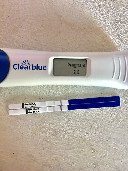 June 2019 - The Early Birds