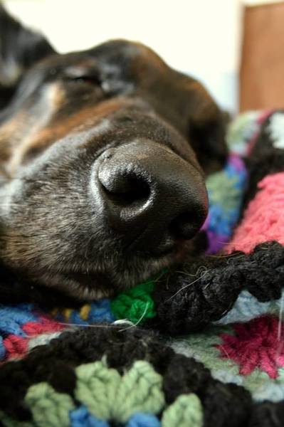 I would chew my left arm off for a lay in!