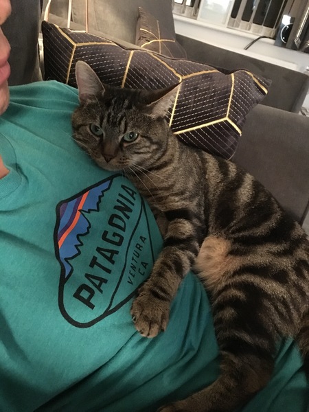 I think we broke the cat.....
