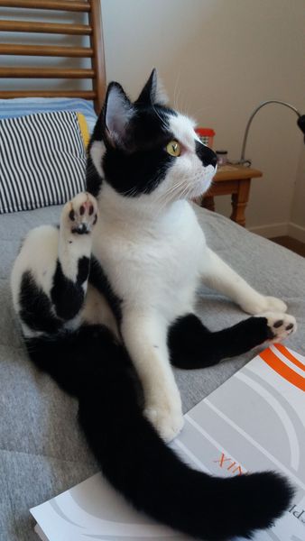 What's your DCat up to today? (Thread 7!)