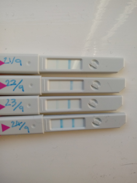 TTC after pregnancy loss - thread 26 - BFPs are coming!