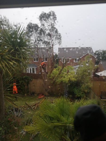 Storm Ali