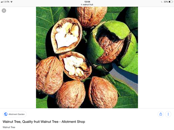 Walnut recipes