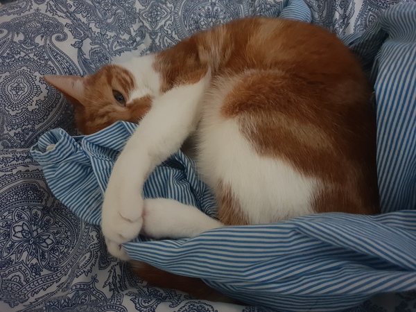 What's your DCat up to today? (Thread 7!)