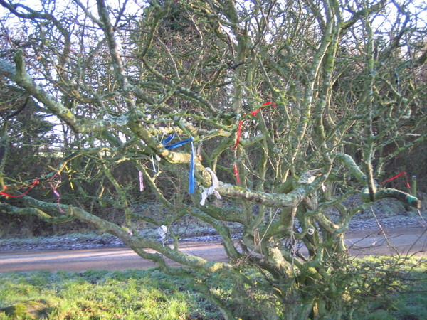 Any Witches Here ? Part 2