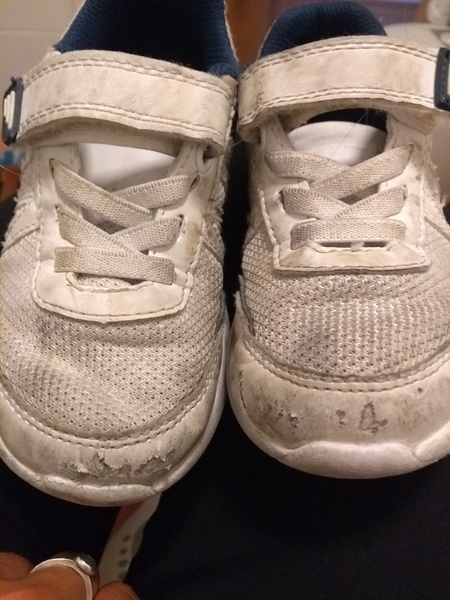 Shoes destroyed (pictures included)