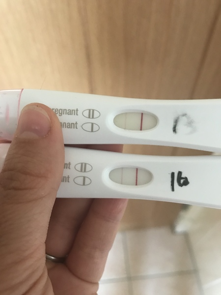 Due May 2019