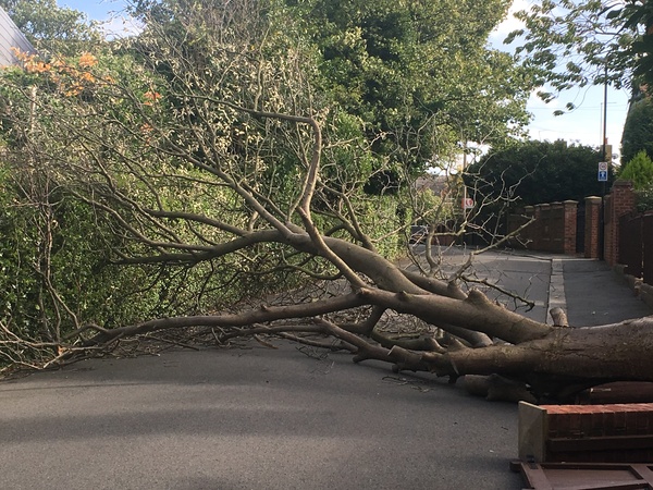 Storm Ali