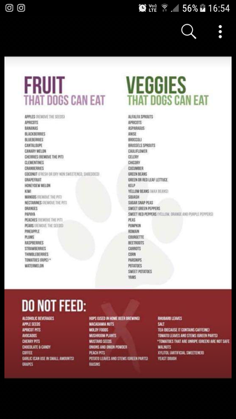 Dog's diet and vegetables