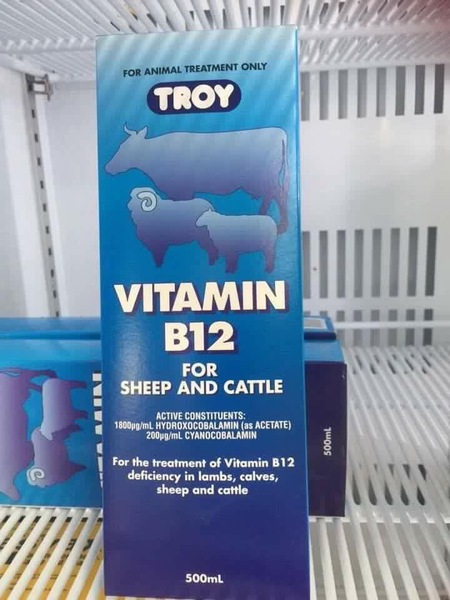 To ask why people are so critical/judgemental of vegans?