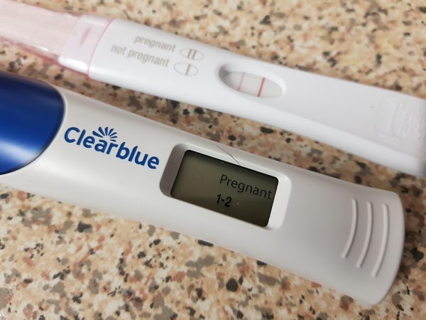 May 2019 (or late April 2019) due date