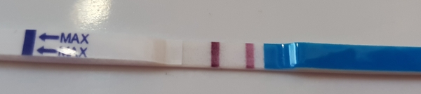 Due May 2019
