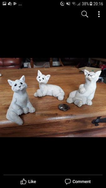 Weird local Facebook offerings / things for sale