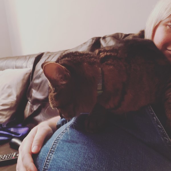 What's your DCat up to today? (Thread 7!)