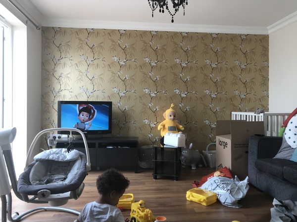 6 week old twins and completely overwhelmed