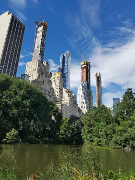 Les Parisiennes de Mamansnet: Orangutans in Paris make for poor gondoliers
