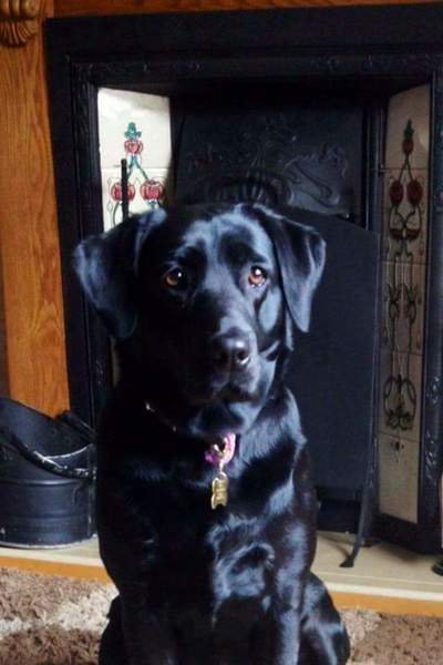 One of our family is missing.