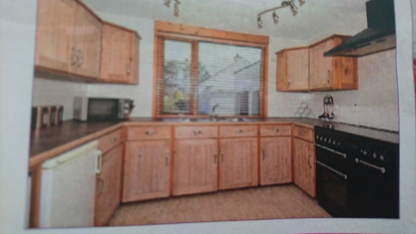 Has anyone painted their kitchen units?