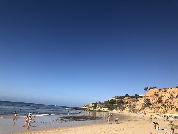 So how was your holiday this year? Would you recommend it?