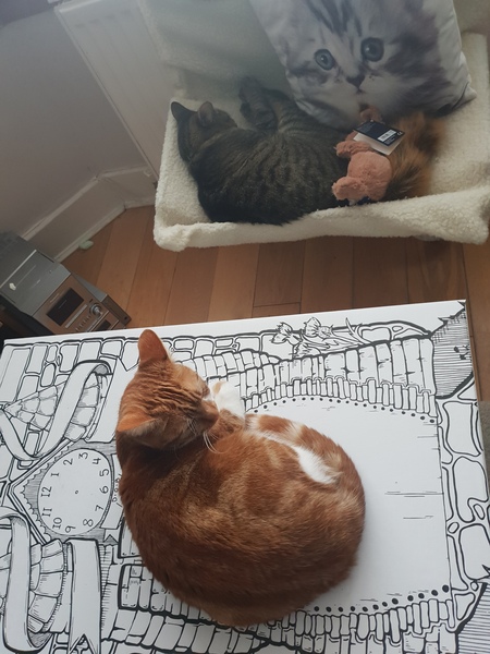 What's your DCat up to today? (Thread 7!)