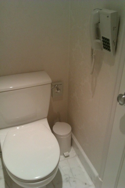 To ask why in some hotel rooms they have telephones in the toilet?