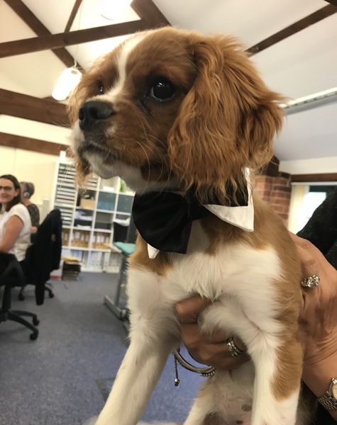 Cancer support thread 63 for a handhold or advice and anything in between