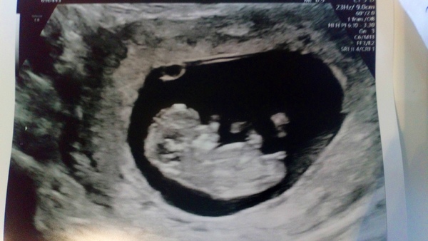 April 2019 babies continued