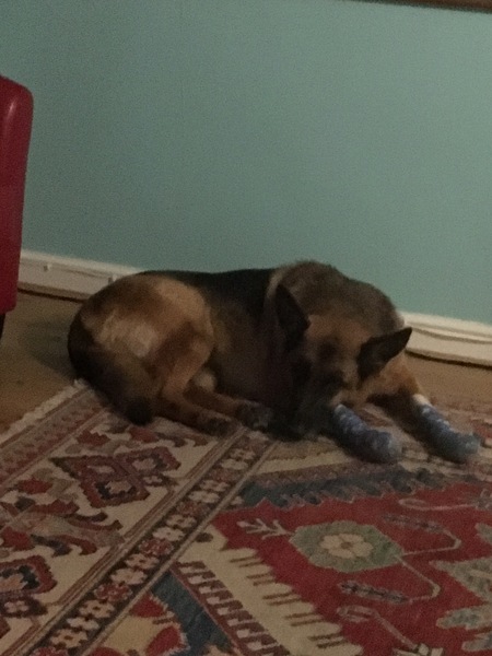 Friendly Frugaleers Ambling into Autumn, watching our wallets and the weather!