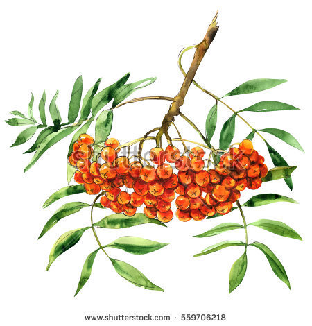 Any Witches Here ? Part 2