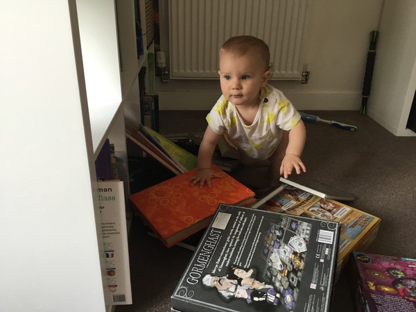 September fledgling roll call: Ready, Set, FLY....
