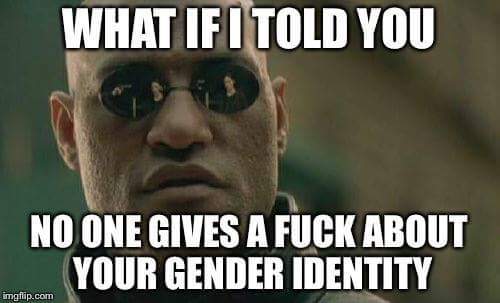 Share your favourite Gender Critical memes here!