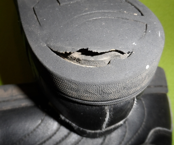 Shoes destroyed (pictures included)