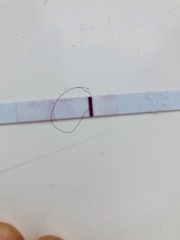 Faint bfp over evap