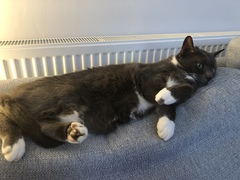 Help name our boy!