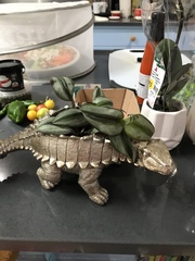 Childish/Cool items you own....