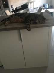 Does anyone else put up with this?