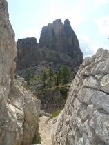Best family walking/mountains/wildlife location?